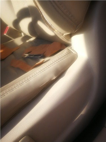 崇明區專業皮衣皮具修補與針紡織品護理技術