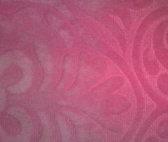 超柔剪花 常熟市奧勝針紡織有限公司的針紡織品創新之旅